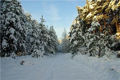 《豪麻—黑色推理》将于今年夏天登陆任天堂Switch平台 