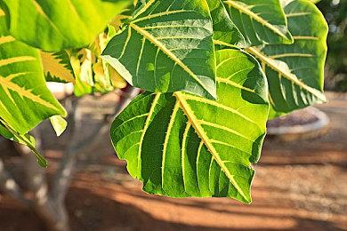 因歧视和性骚扰 育碧新加坡被当地部门调查